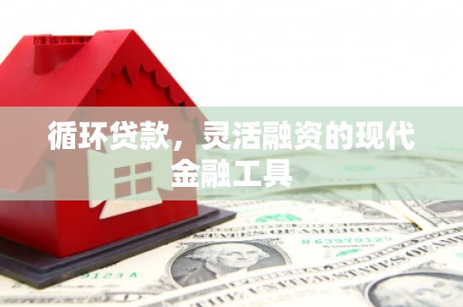 宝山循环贷款，灵活融资的现代金融工具