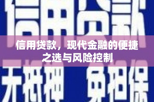 宝山信用贷款，现代金融的便捷之选与风险控制