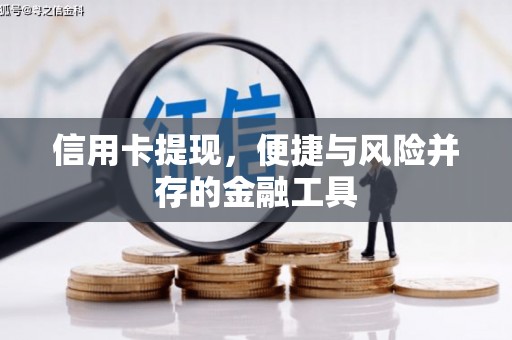 宝山信用卡提现，便捷与风险并存的金融工具