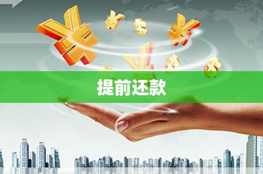 宝山提前还款