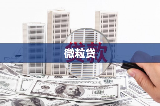 宝山微粒贷