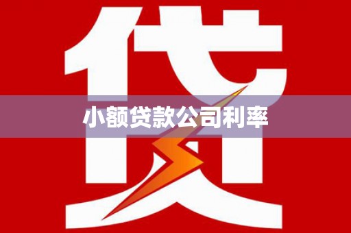 宝山小额贷款公司利率