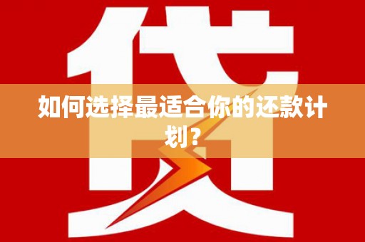 宝山如何选择最适合你的还款计划？