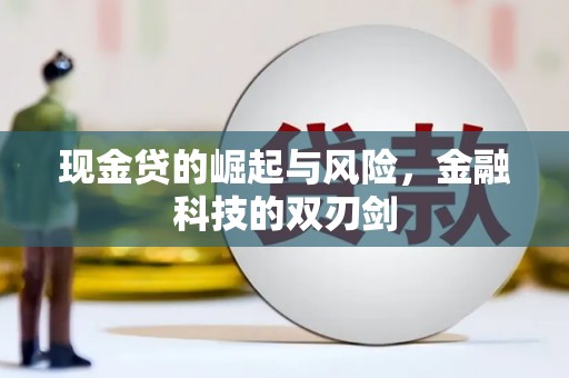 宝山现金贷的崛起与风险，金融科技的双刃剑