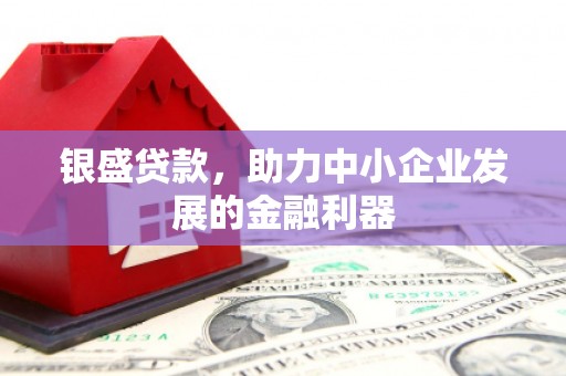 宝山银盛贷款，助力中小企业发展的金融利器