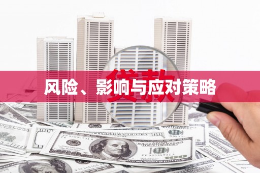 宝山风险、影响与应对策略