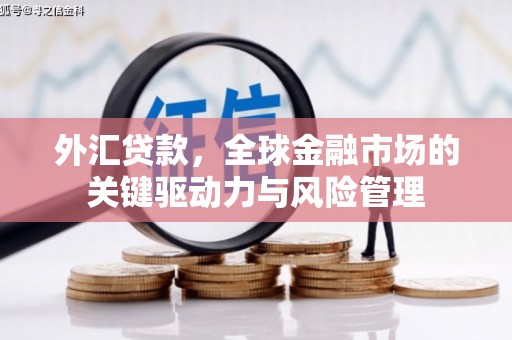 宝山外汇贷款，全球金融市场的关键驱动力与风险管理