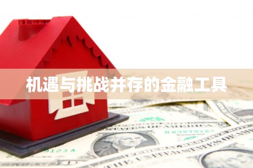 宝山机遇与挑战并存的金融工具