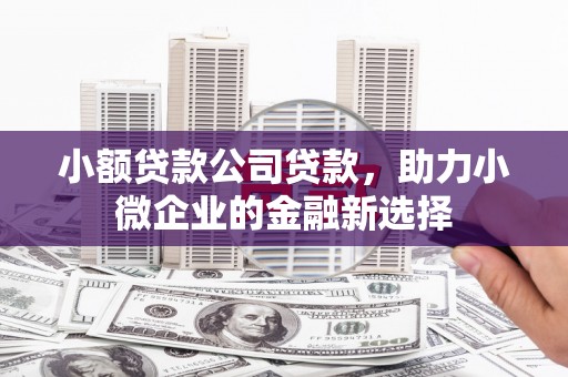 宝山小额贷款公司贷款，助力小微企业的金融新选择