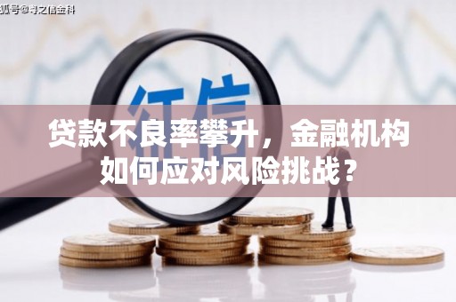 宝山贷款不良率攀升，金融机构如何应对风险挑战？