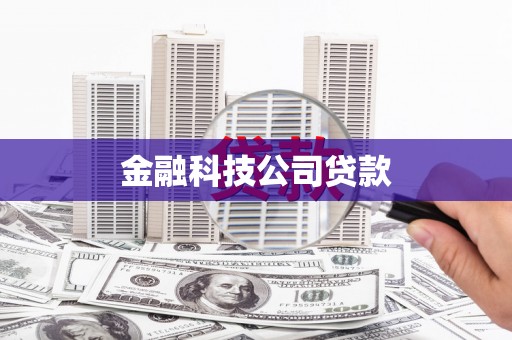 宝山金融科技公司贷款