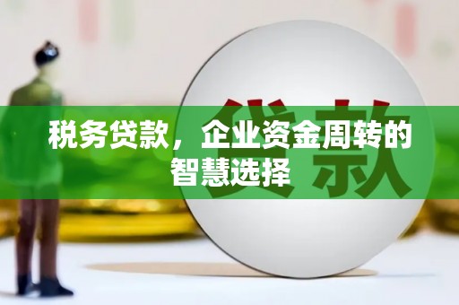 宝山税务贷款，企业资金周转的智慧选择