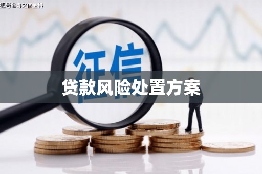 宝山贷款风险处置方案