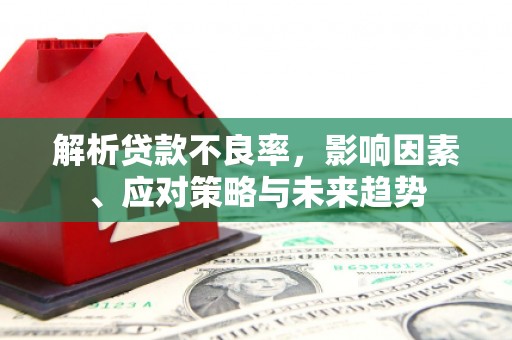 宝山解析贷款不良率，影响因素、应对策略与未来趋势