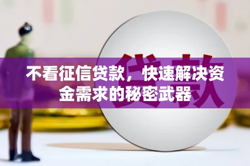 宝山不看征信贷款，快速解决资金需求的秘密武器