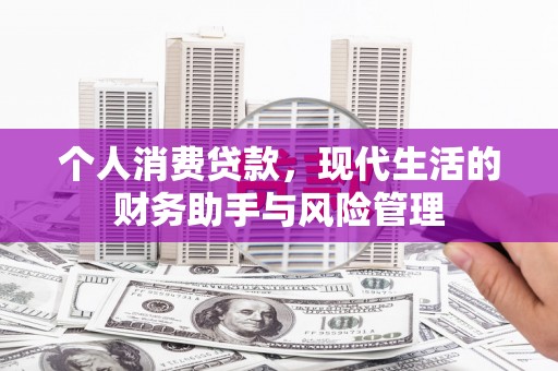 宝山个人消费贷款，现代生活的财务助手与风险管理