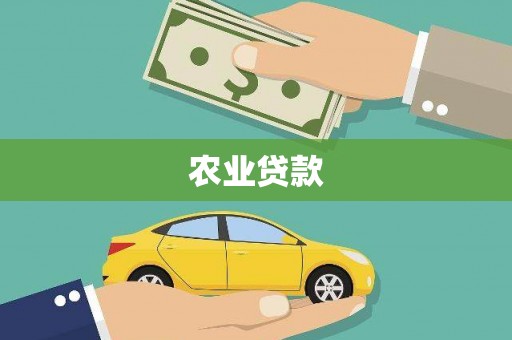 宝山农业贷款