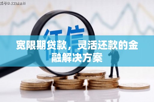 宝山宽限期贷款，灵活还款的金融解决方案