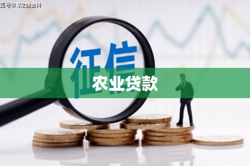 宝山农业贷款