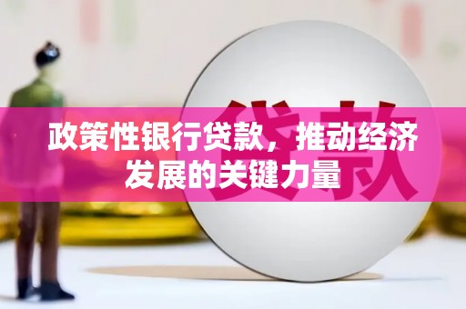 宝山政策性银行贷款，推动经济发展的关键力量