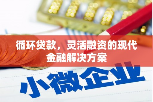 宝山循环贷款，灵活融资的现代金融解决方案