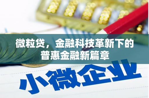 宝山微粒贷，金融科技革新下的普惠金融新篇章