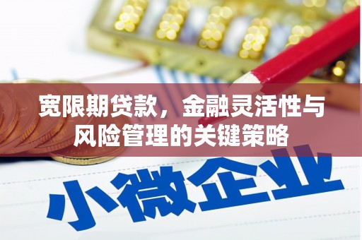 宝山宽限期贷款，金融灵活性与风险管理的关键策略
