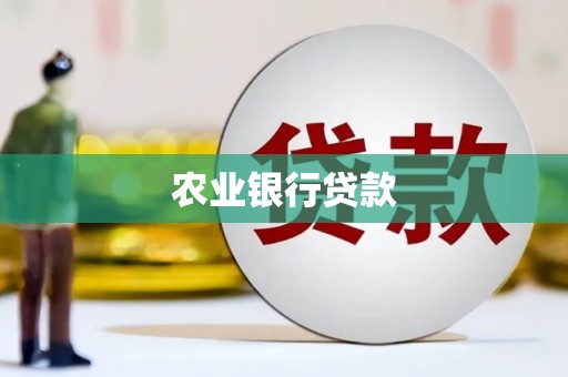 宝山农业银行贷款