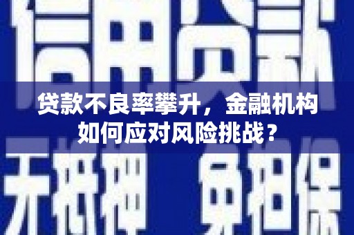 宝山贷款不良率攀升，金融机构如何应对风险挑战？