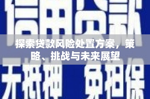 宝山探索贷款风险处置方案，策略、挑战与未来展望