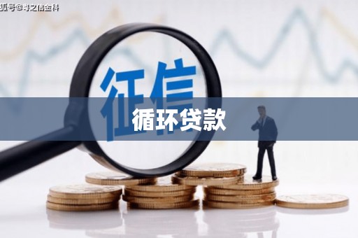 宝山循环贷款