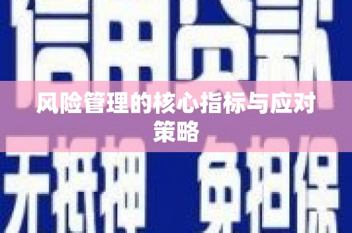宝山风险管理的核心指标与应对策略