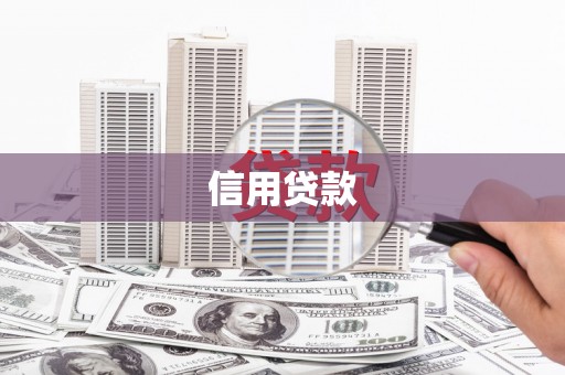 宝山信用贷款