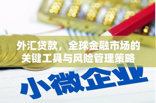 宝山外汇贷款，全球金融市场的关键工具与风险管理策略