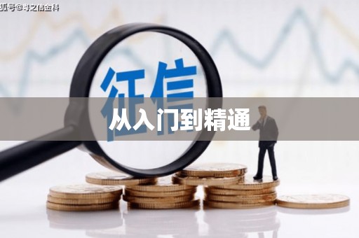 宝山从入门到精通