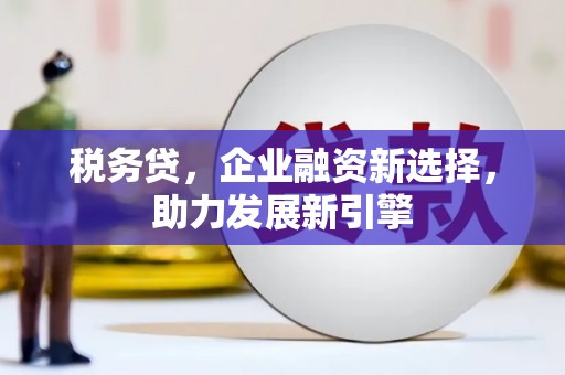 宝山税务贷，企业融资新选择，助力发展新引擎