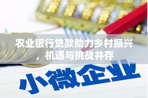 宝山农业银行贷款助力乡村振兴，机遇与挑战并存