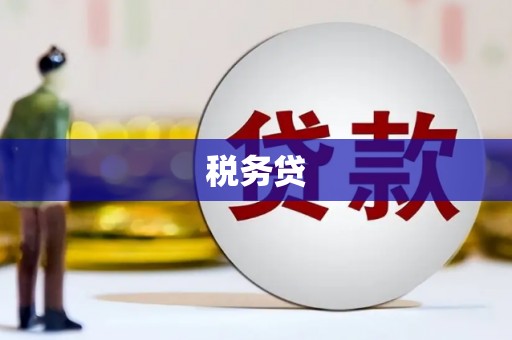 宝山税务贷