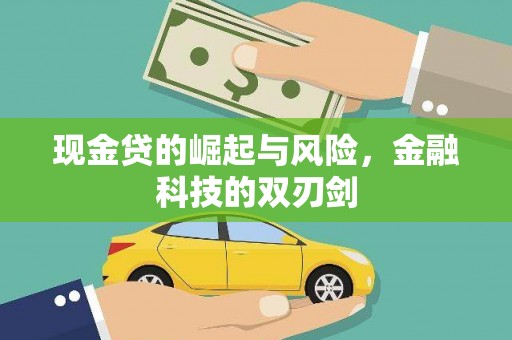 宝山现金贷的崛起与风险，金融科技的双刃剑