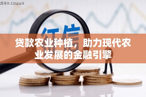 宝山贷款农业种植，助力现代农业发展的金融引擎