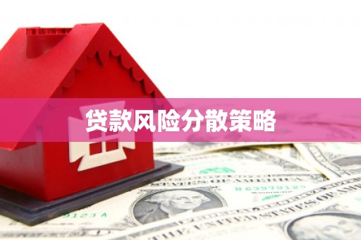 宝山贷款风险分散策略