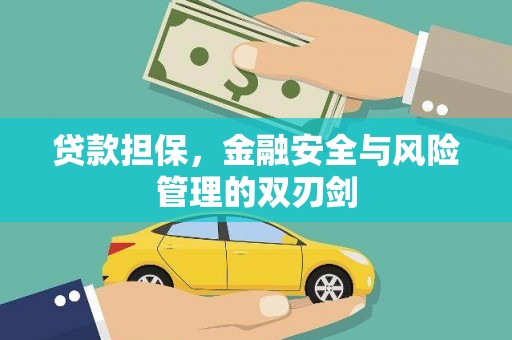 宝山贷款担保，金融安全与风险管理的双刃剑
