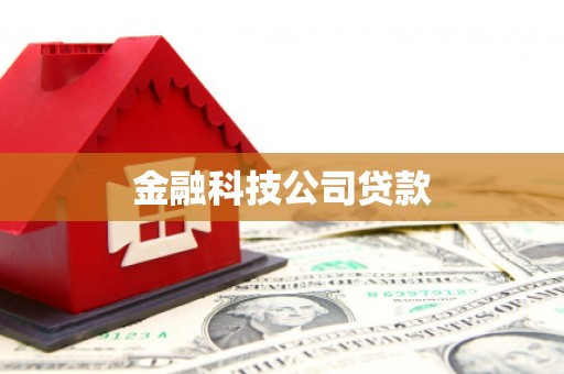 宝山金融科技公司贷款