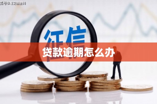 宝山贷款逾期怎么办