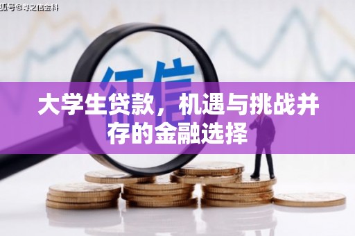 宝山大学生贷款，机遇与挑战并存的金融选择