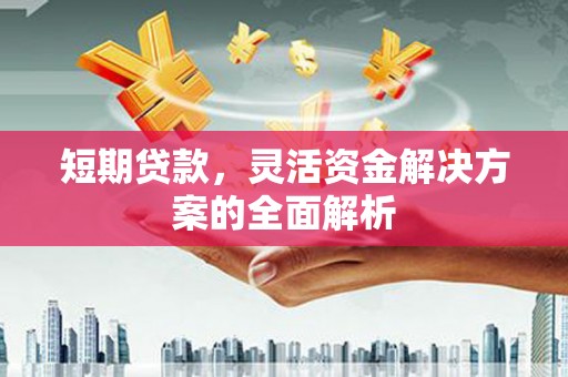 宝山短期贷款，灵活资金解决方案的全面解析