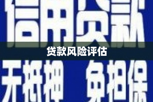 宝山贷款风险评估