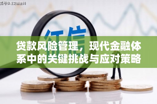 宝山贷款风险管理，现代金融体系中的关键挑战与应对策略