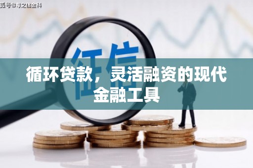 宝山循环贷款，灵活融资的现代金融工具