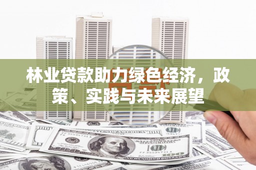 宝山林业贷款助力绿色经济，政策、实践与未来展望